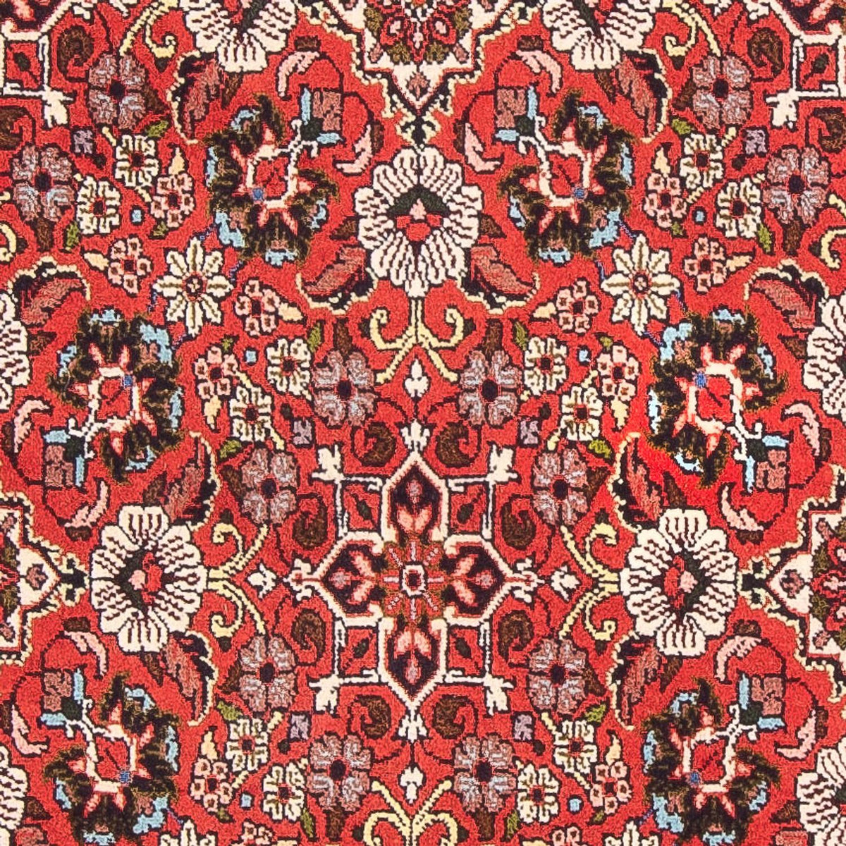 Perserteppich - Bidjar - Royal - 148 x 82 cm - rot