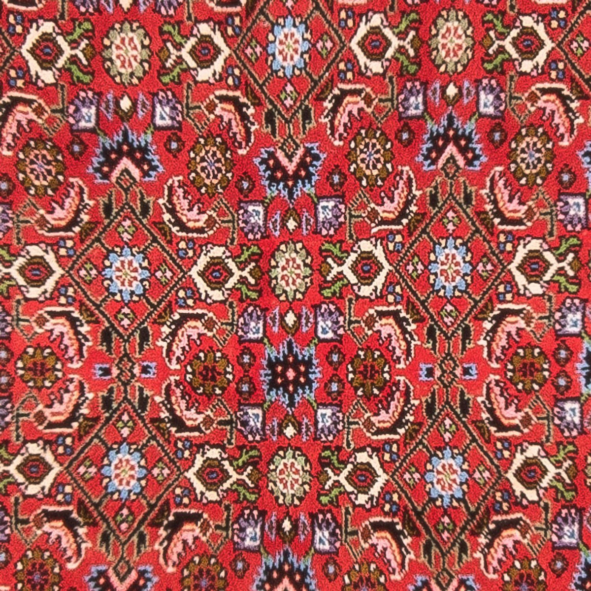 Perserteppich - Bidjar - Royal - 137 x 84 cm - rot