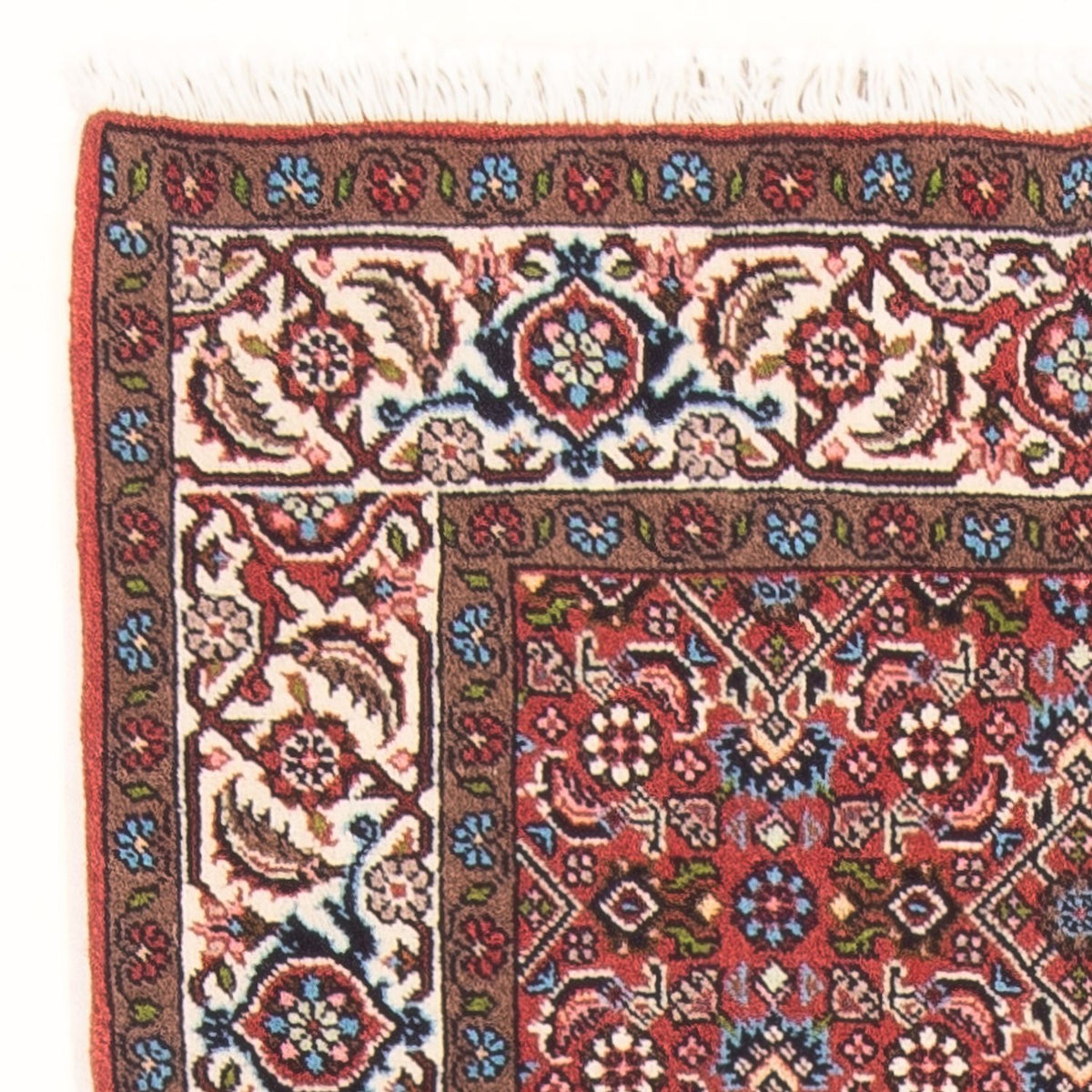 Bidjar - Bukan Dywan 81x143cm - Dywan perski - czerwony