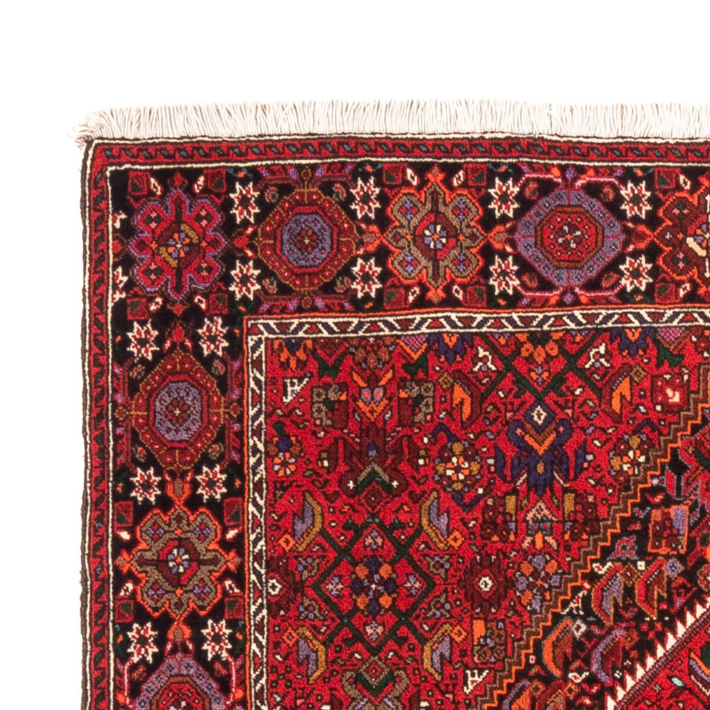 Gholtogh Dywan 150x105cm - Dywan perski