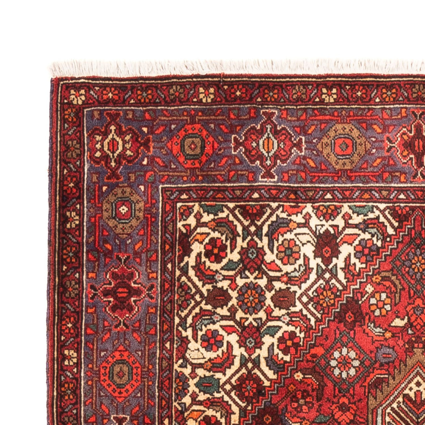 Gholtogh Dywan 152x102cm - Dywan perski