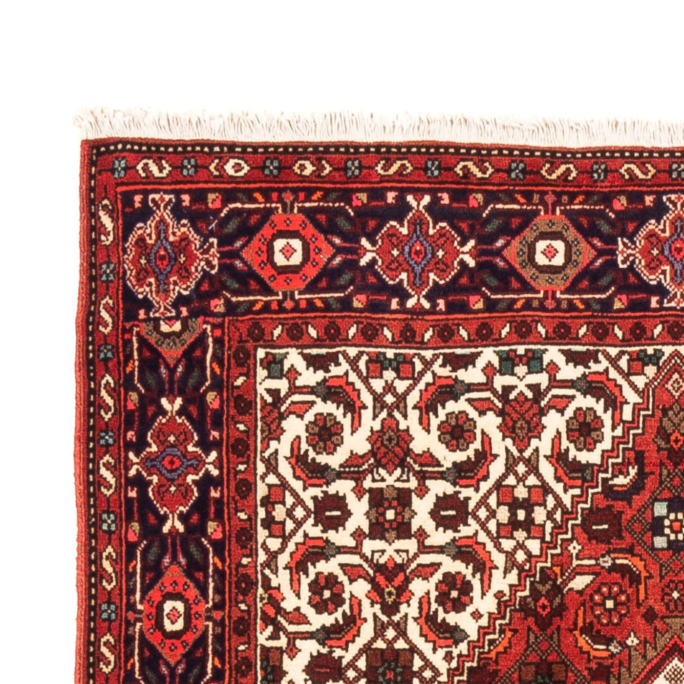 Gholtogh Dywan 155x107cm - Dywan perski