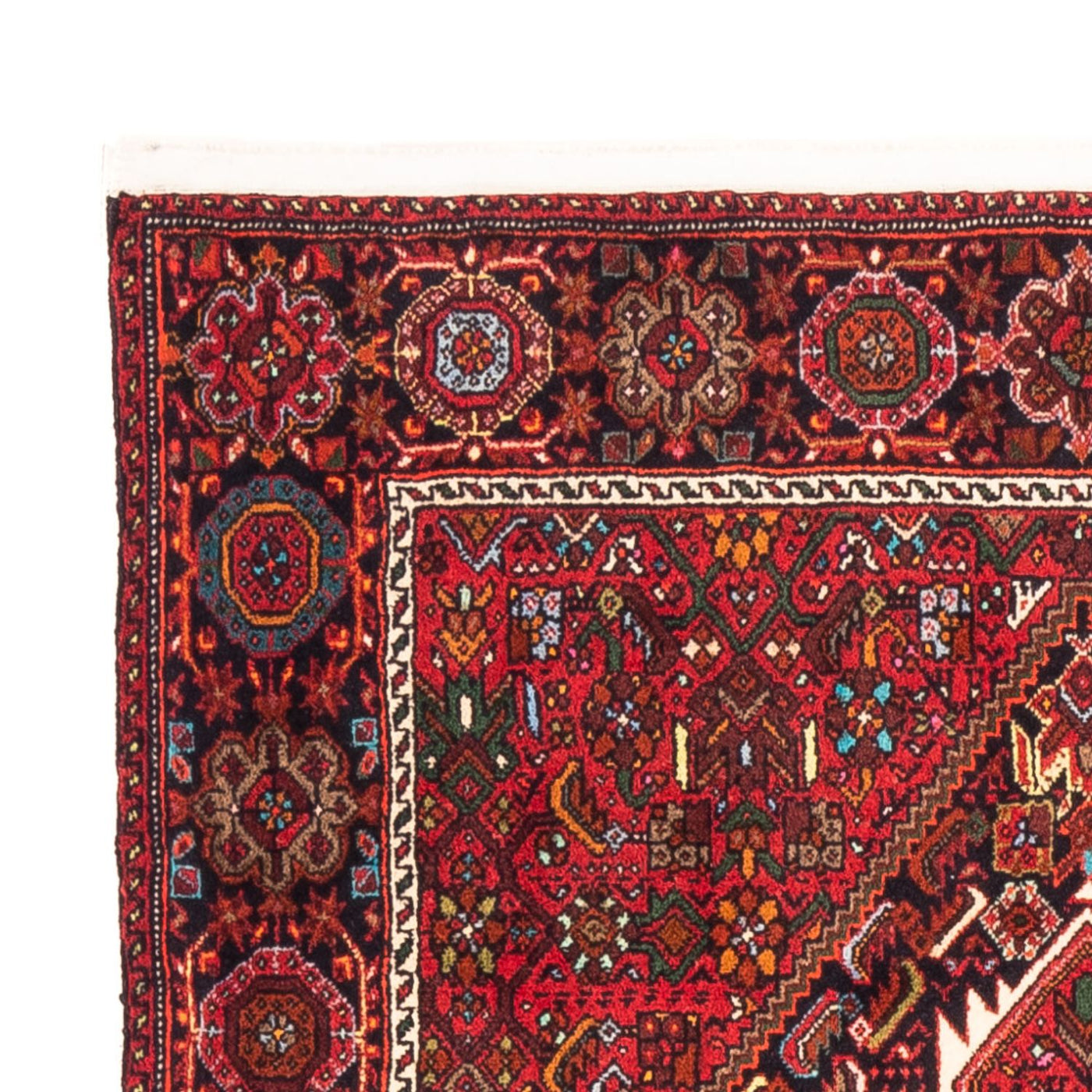 Gholtogh Dywan 157x100cm - Dywan perski