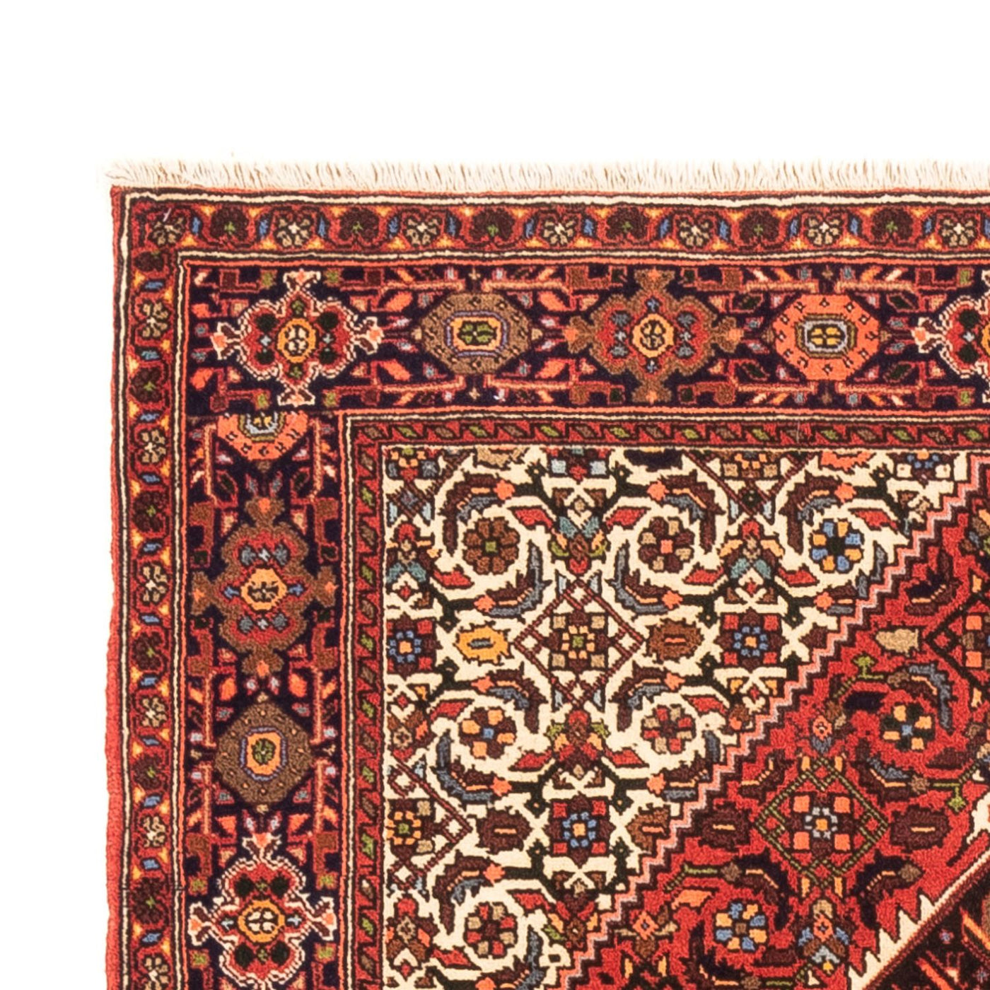 Gholtogh Dywan 157x105cm - Dywan perski