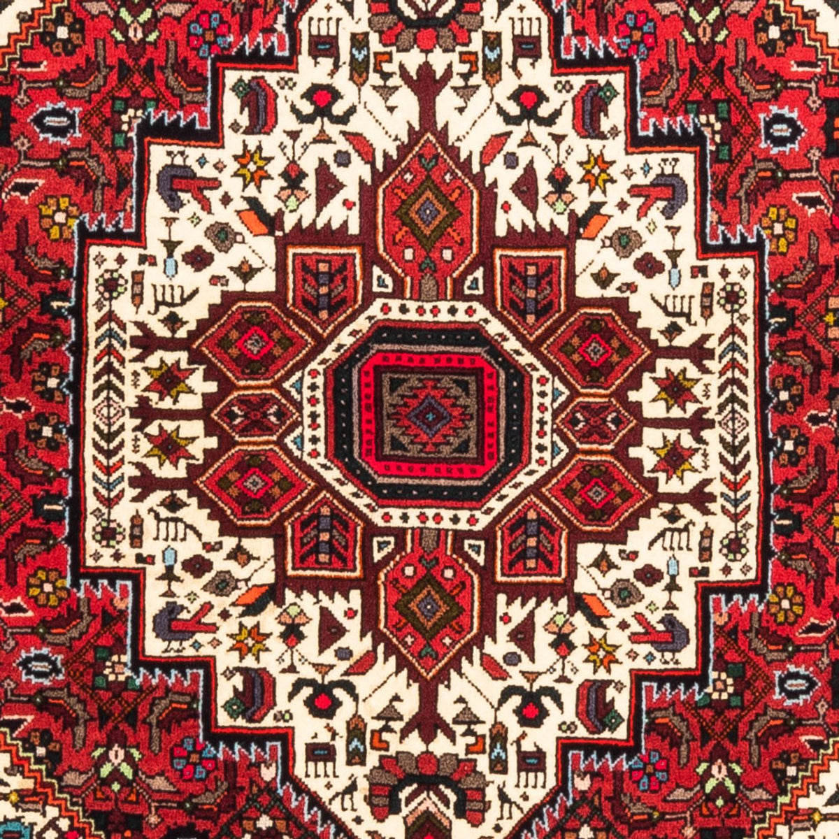 Perserteppich - Nomadic - 158 x 109 cm - rot