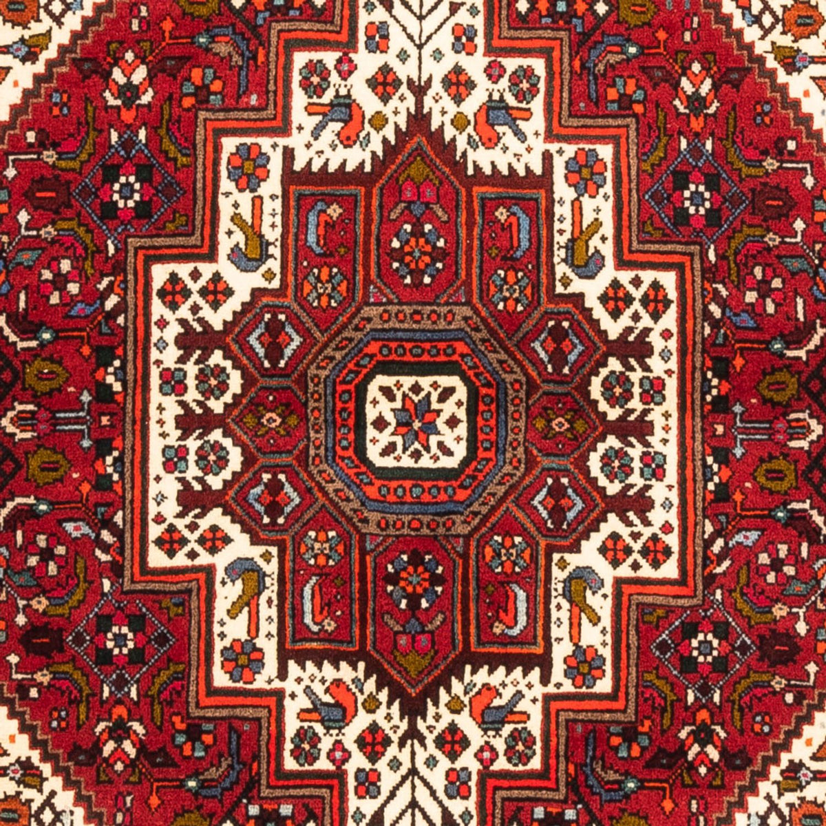 Perserteppich - Nomadic - 156 x 108 cm - rot