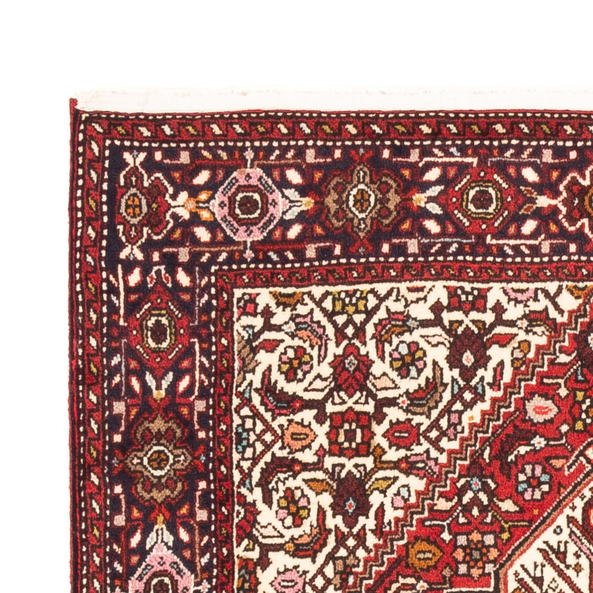 Gholtogh Dywan 100x152cm - Dywan perski