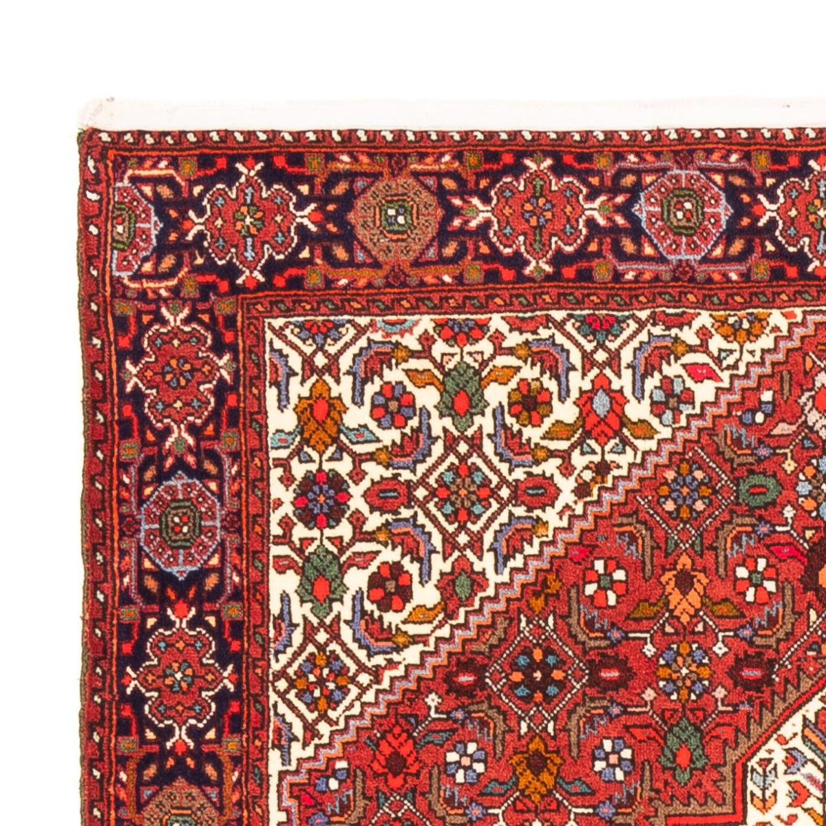 Gholtogh Dywan 103x147cm - Dywan perski