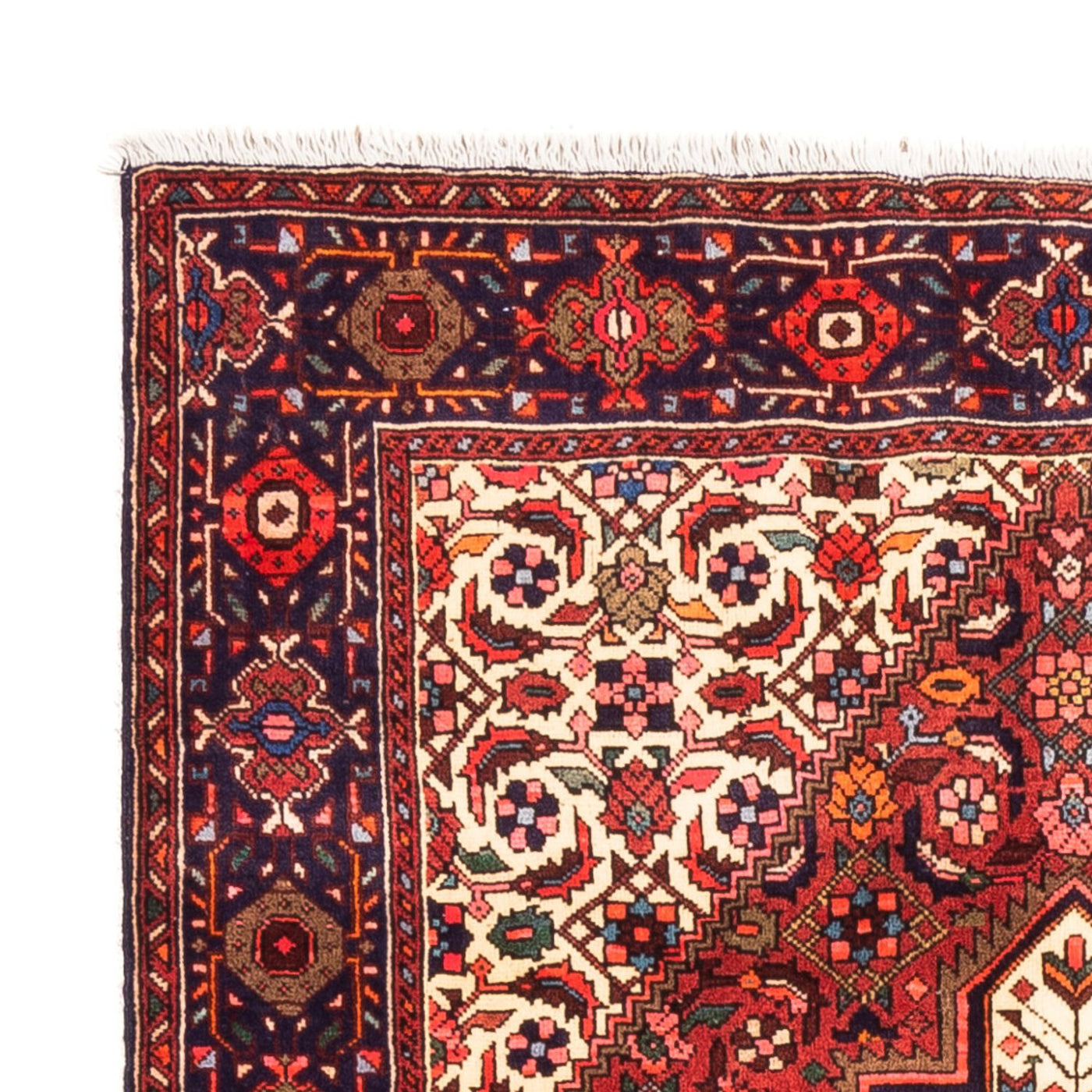 Gholtogh Dywan 150x100cm - Dywan perski