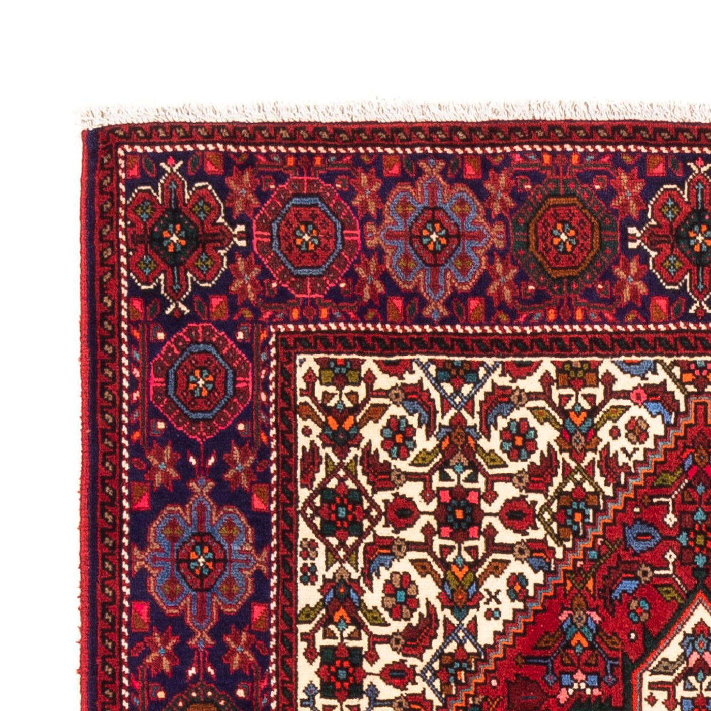 Gholtogh Dywan 155x100cm - Dywan perski