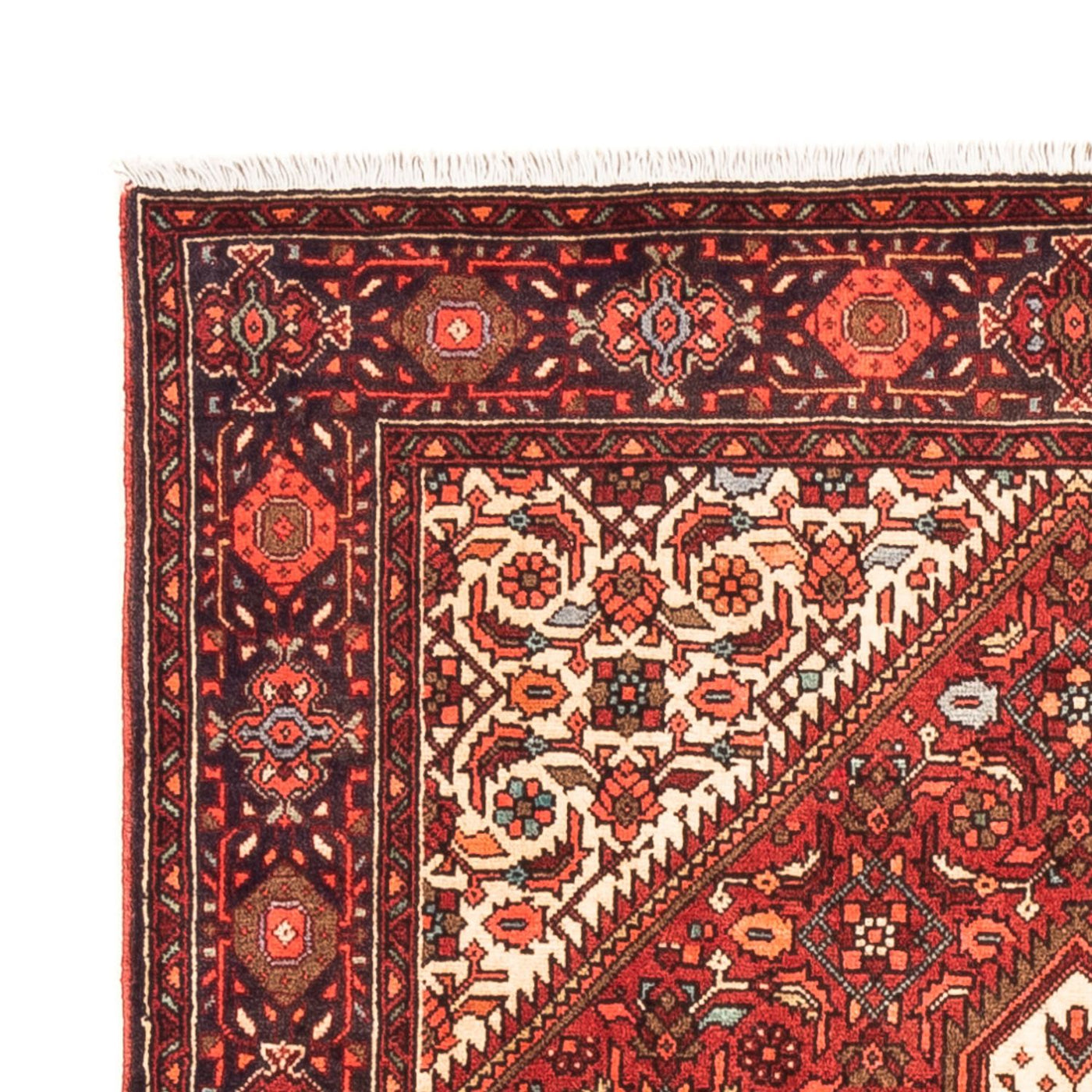 Gholtogh Dywan 149x98cm - Dywan perski