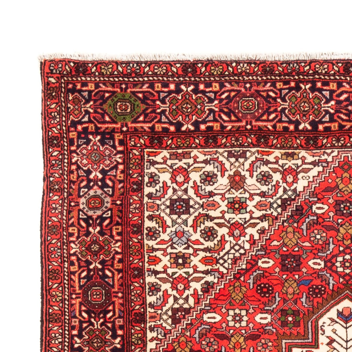 Gholtogh Dywan 100x147cm - Dywan perski