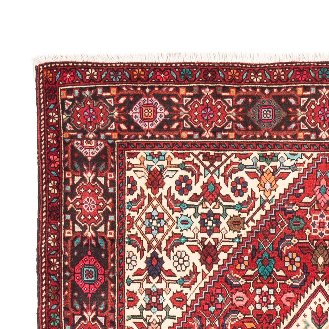Gholtogh Dywan 152x102cm - Dywan perski