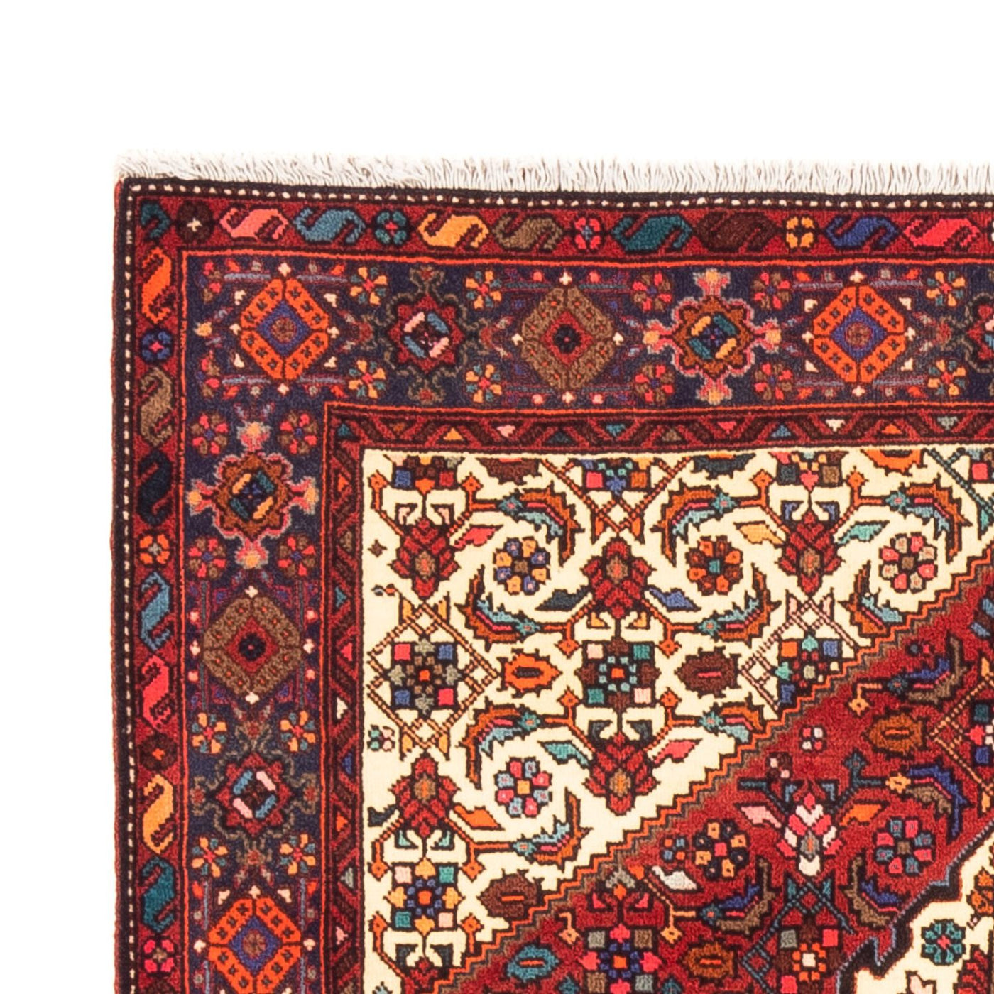 Gholtogh Dywan 155x100cm - Dywan perski