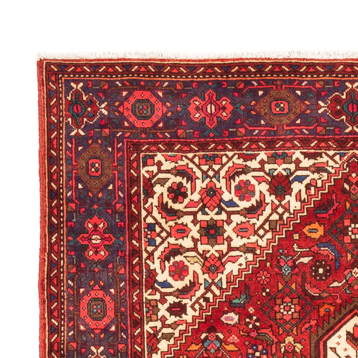 Gholtogh Dywan 146x100cm - Dywan perski