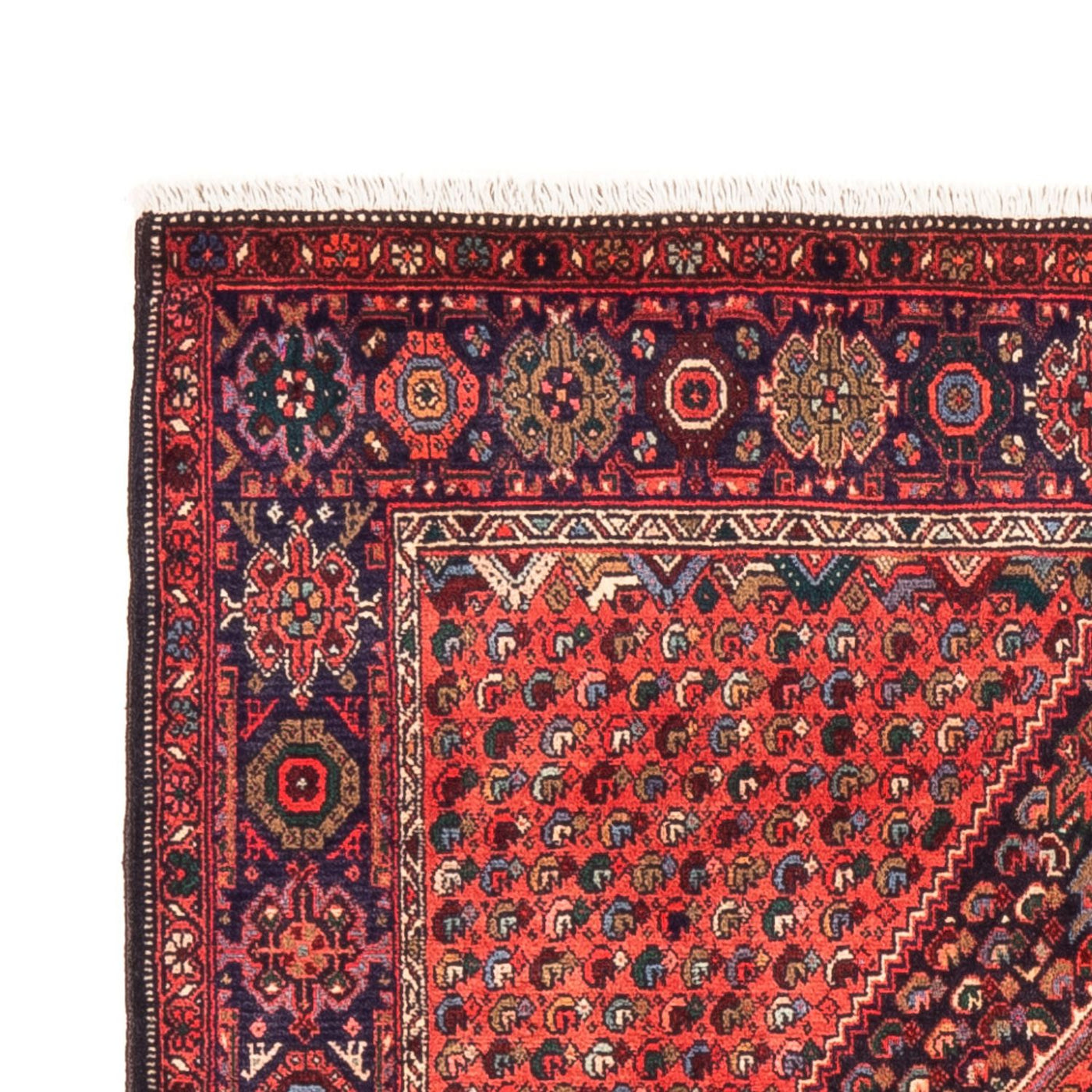 Gholtogh Dywan 148x100cm - Dywan perski