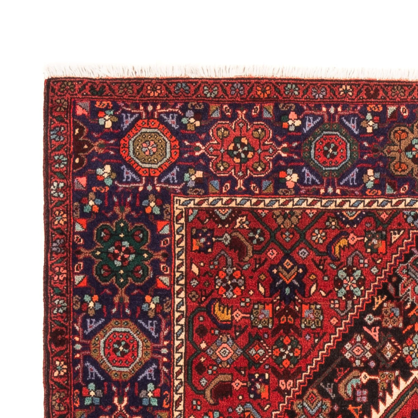 Gholtogh Dywan 152x100cm - Dywan perski