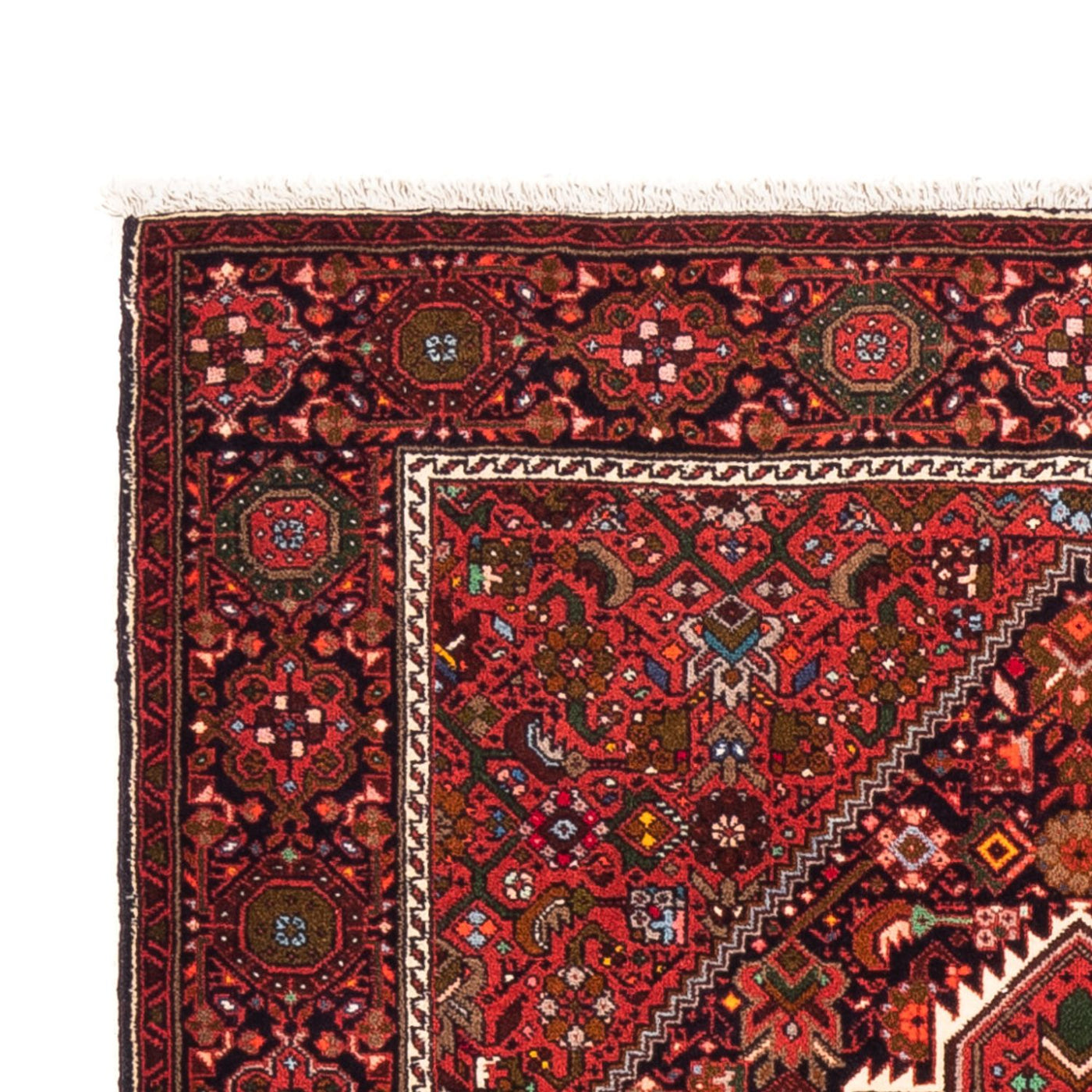 Gholtogh Dywan 155x103cm - Dywan perski