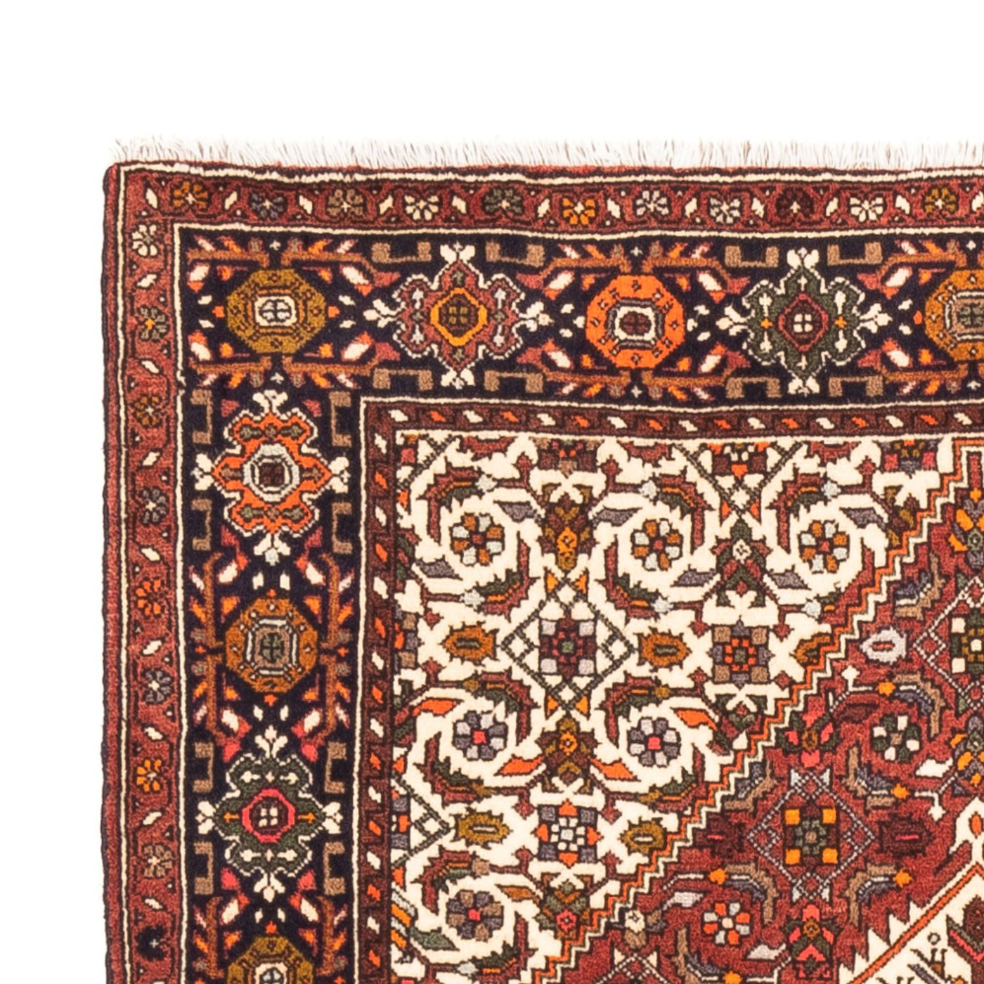 Gholtogh Dywan 149x100cm - Dywan perski