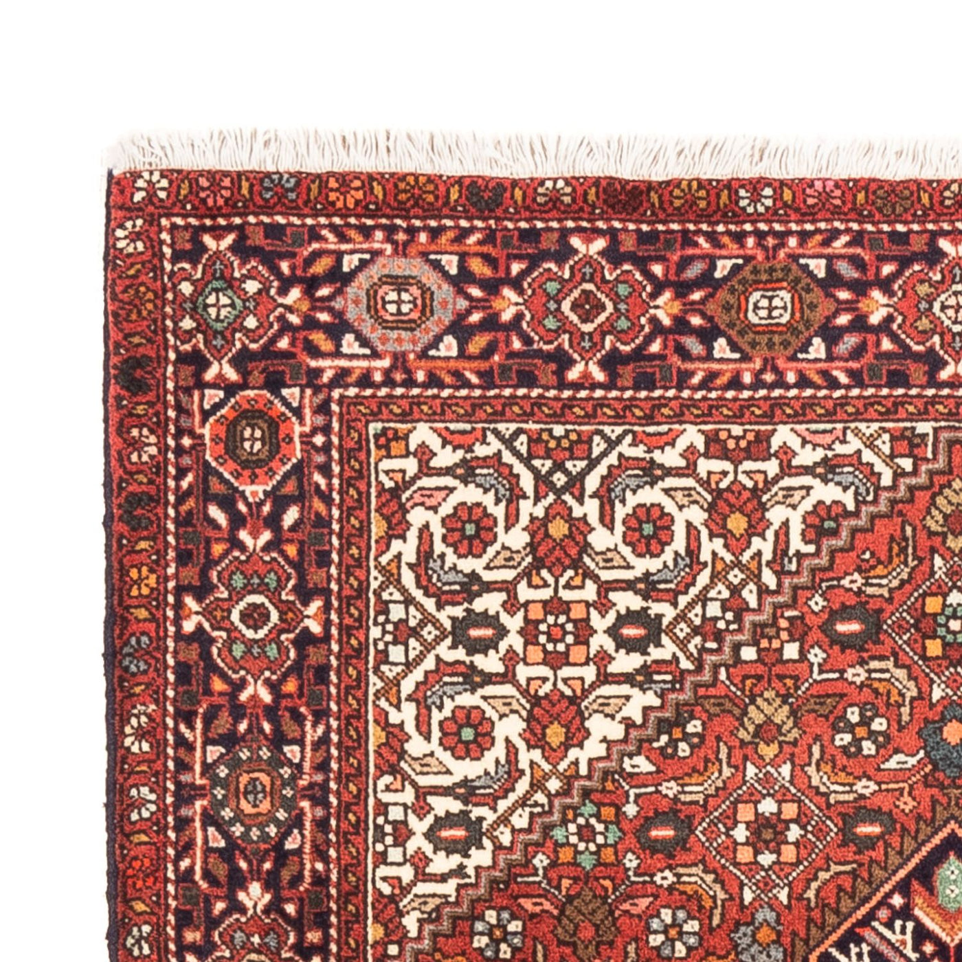 Gholtogh Dywan 145x100cm - Dywan perski