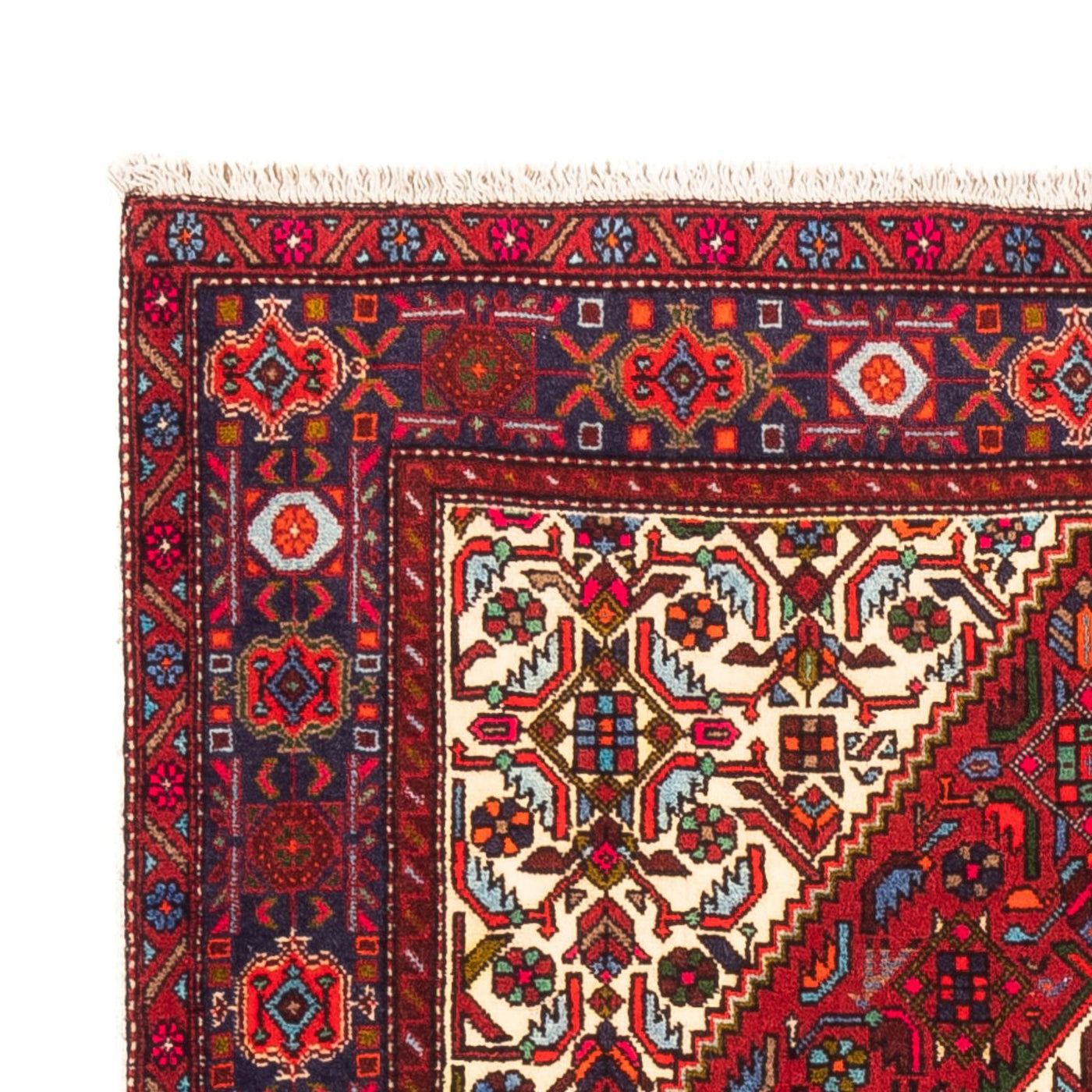 Gholtogh Dywan 146x100cm - Dywan perski
