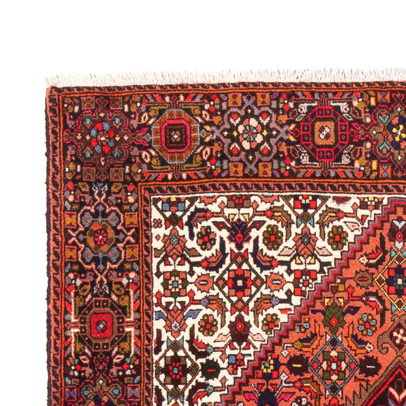 Gholtogh Dywan 146x100cm - Dywan perski