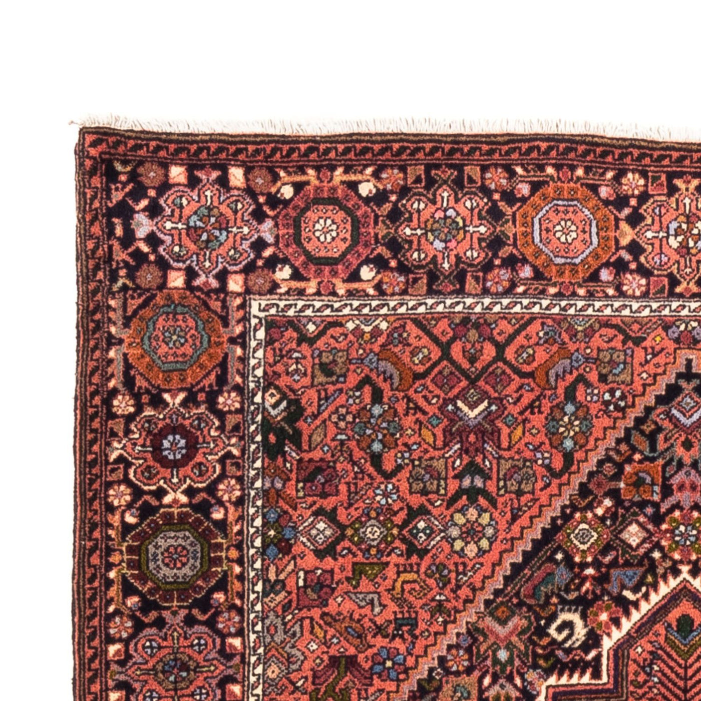 Gholtogh Dywan 147x100cm - Dywan perski