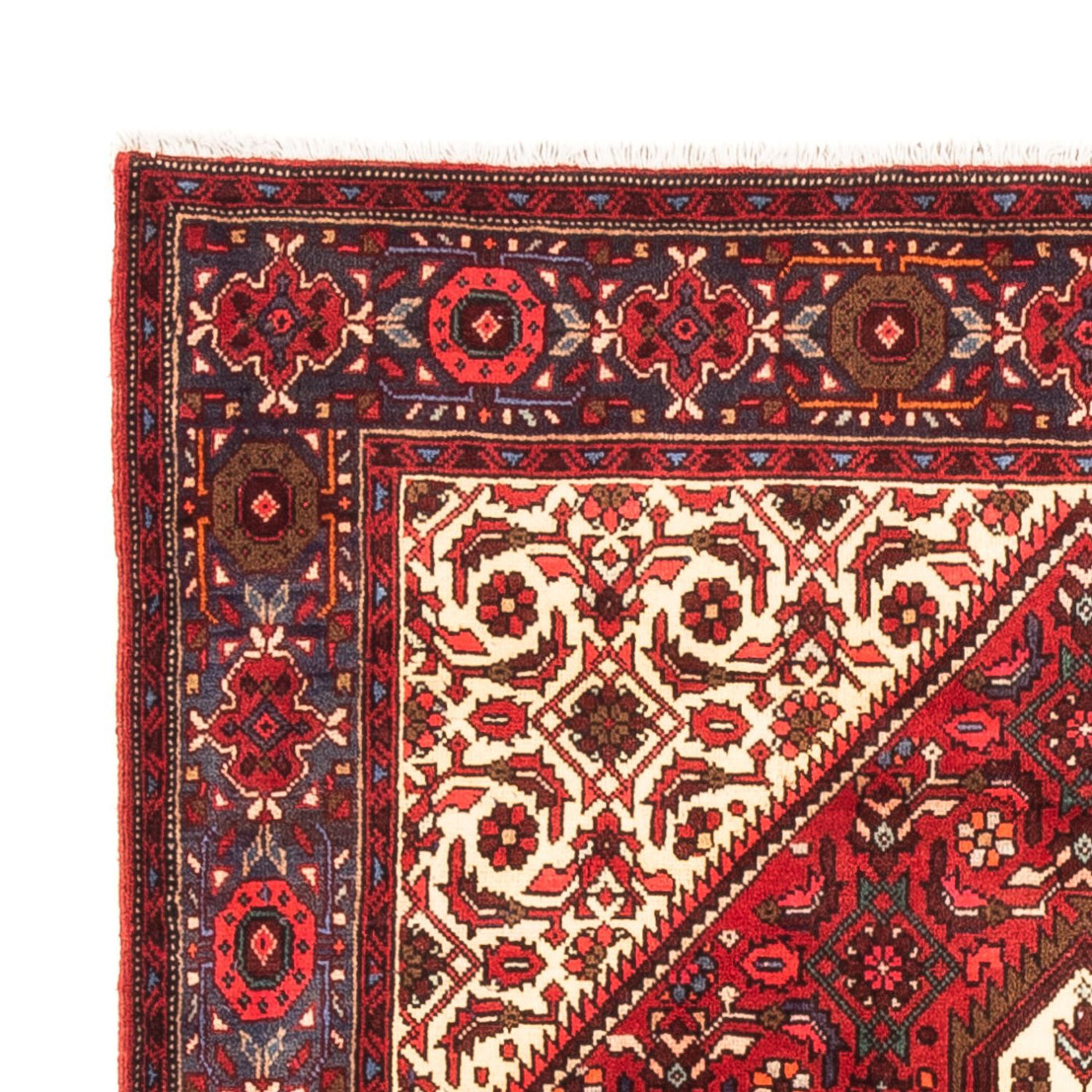 Gholtogh Dywan 148x100cm - Dywan perski