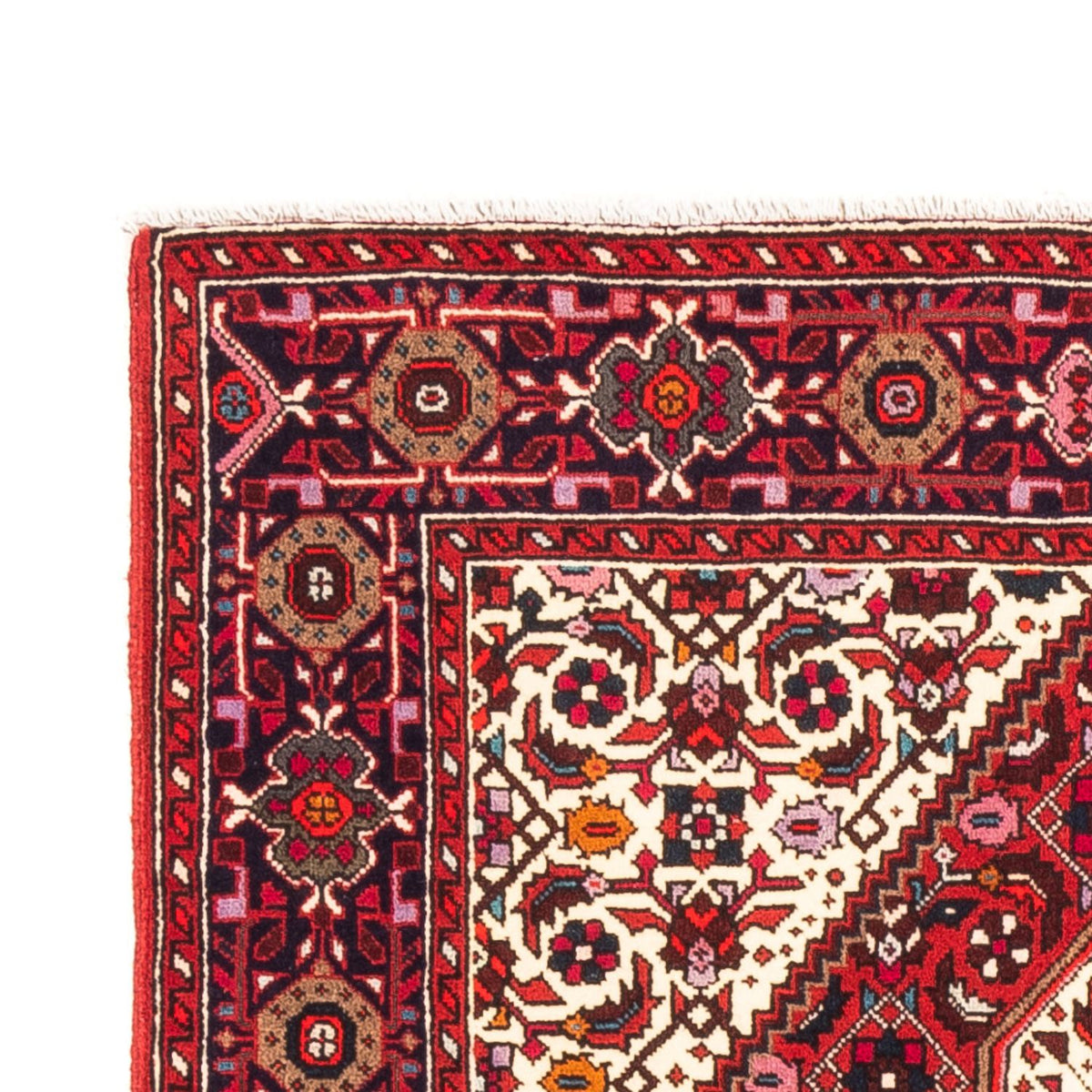 Gholtogh Dywan 98x148cm - Dywan perski