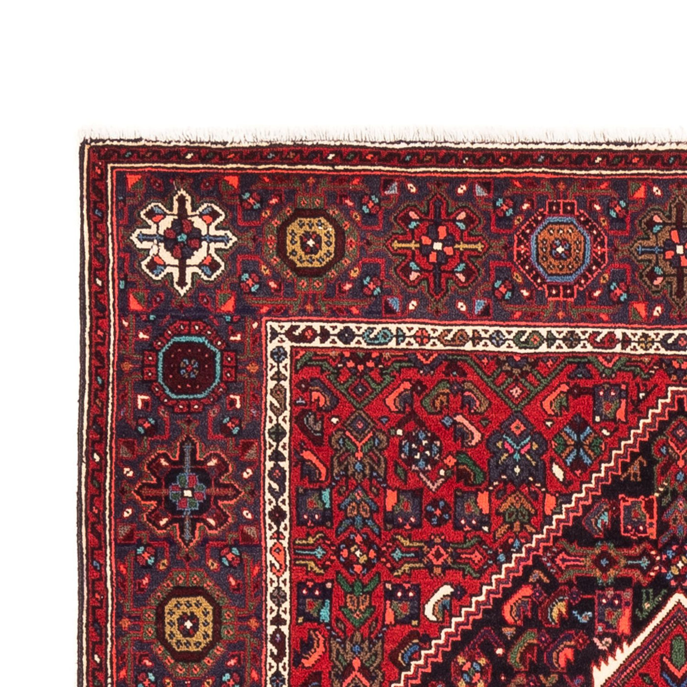 Gholtogh Dywan 150x102cm - Dywan perski