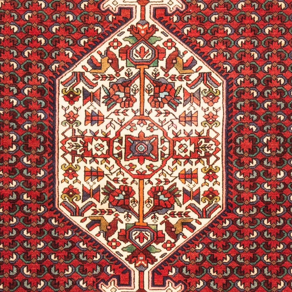 Perserteppich - Nomadic - 170 x 108 cm - rot