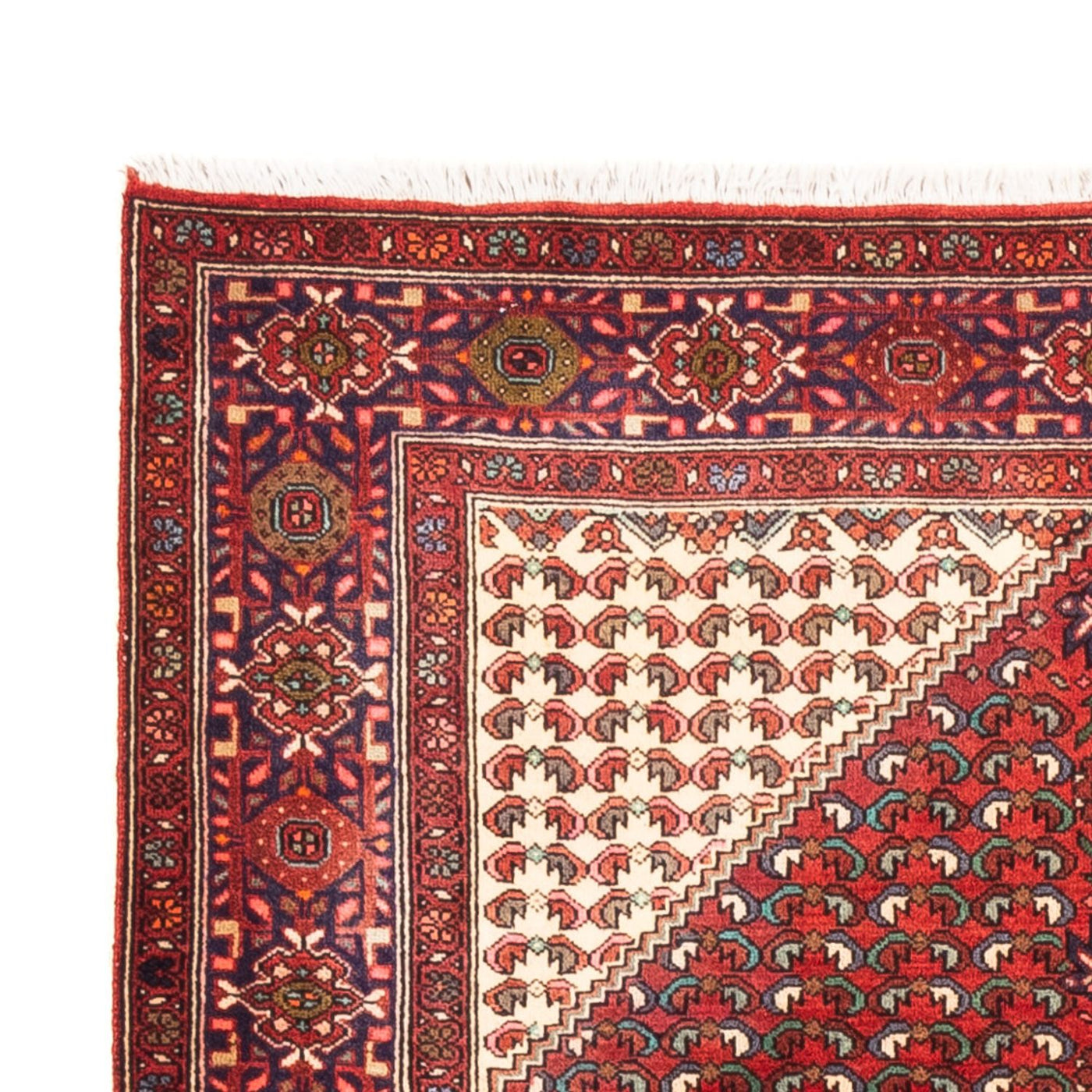 Gholtogh Dywan 170x108cm - Dywan perski