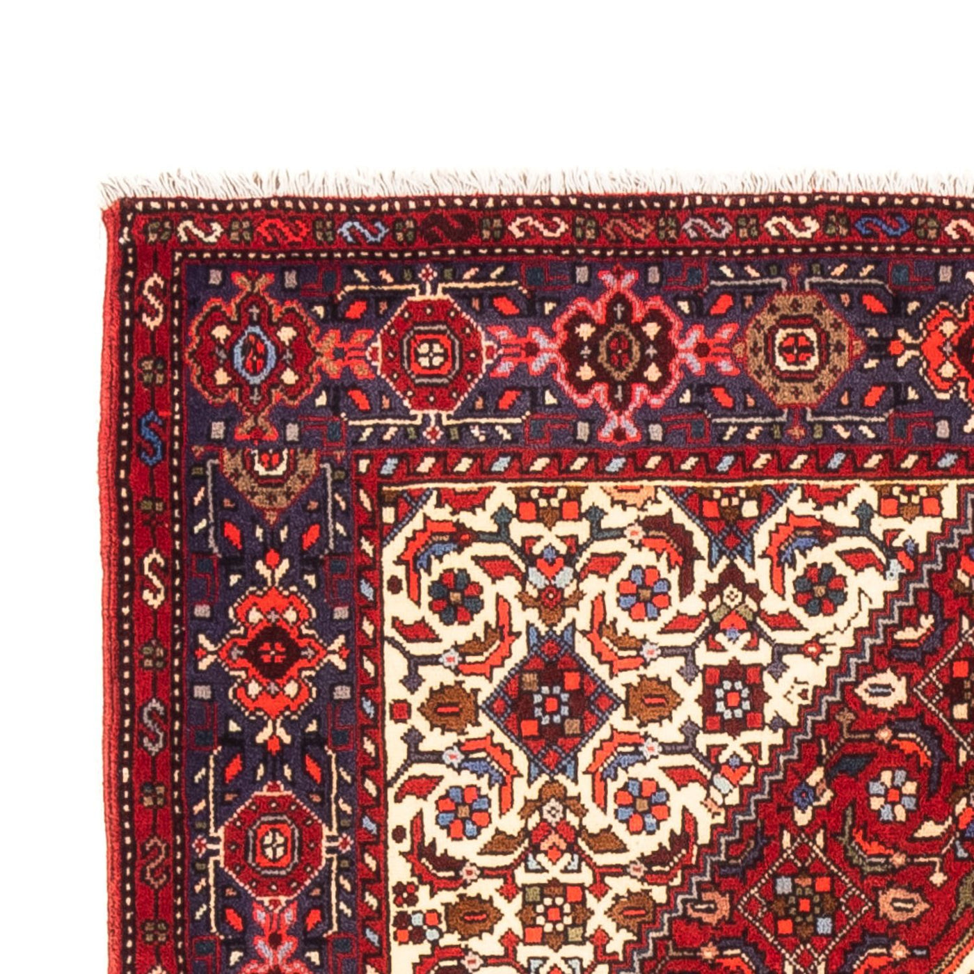 Gholtogh Dywan 155x100cm - Dywan perski