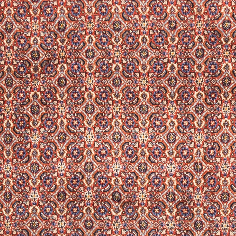 Dywan perski - Klasyczny - 247 x 202 cm - jasna czerwień