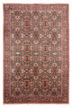 Bidjar Dywan 305x200cm - Dywan perski