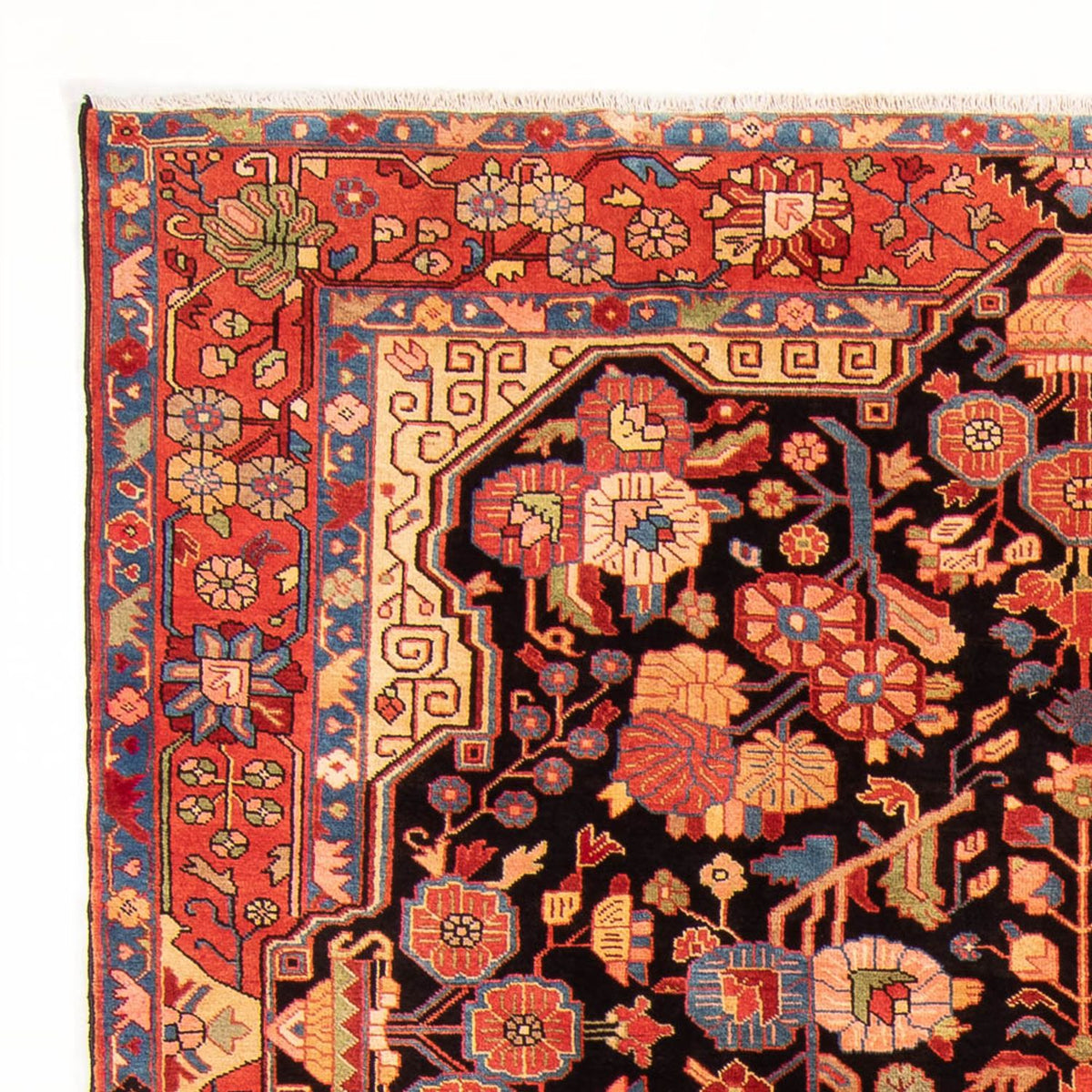 Perserteppich - Nomadic - 278 x 195 cm - dunkelblau