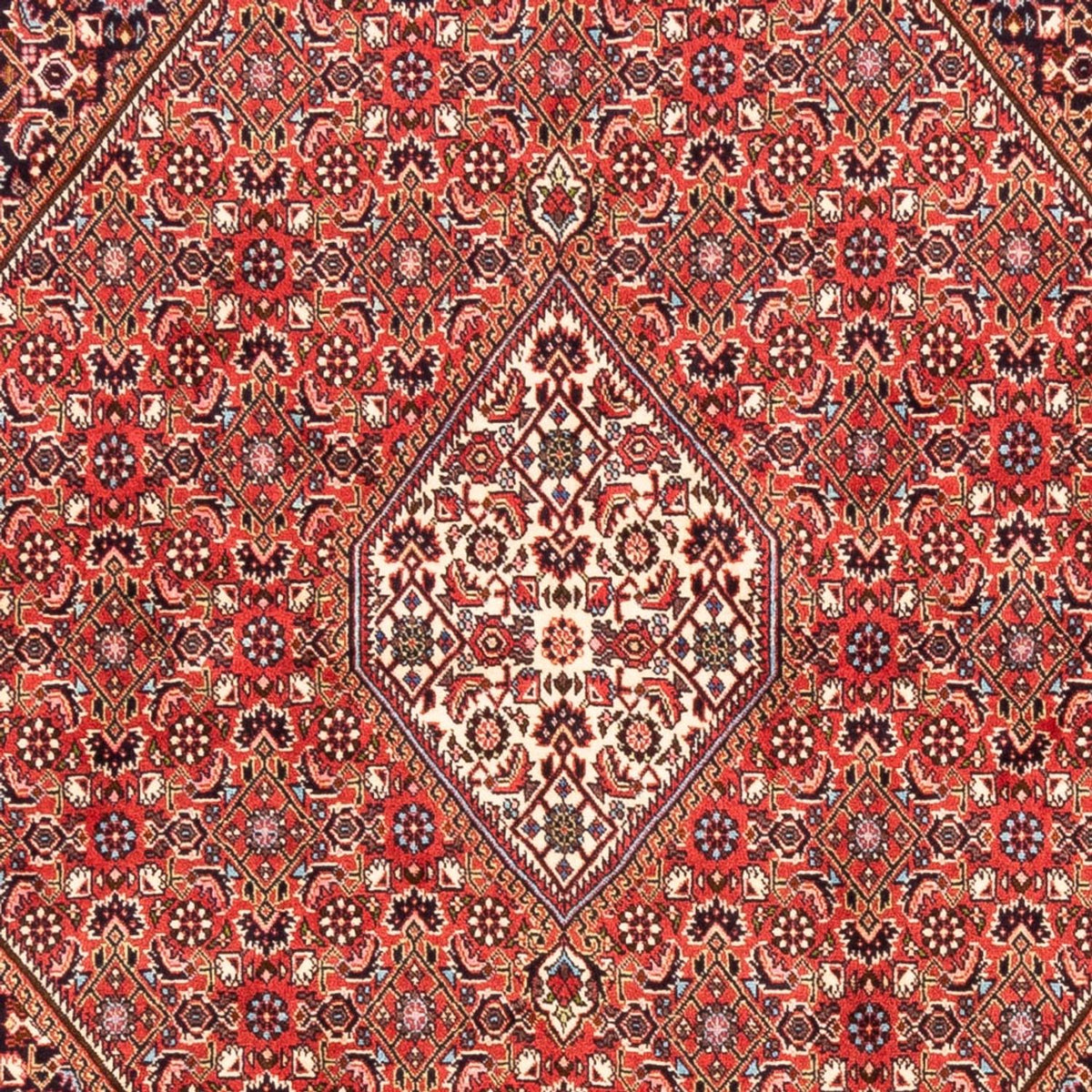 Perserteppich - Bidjar - Royal - 232 x 171 cm - rot