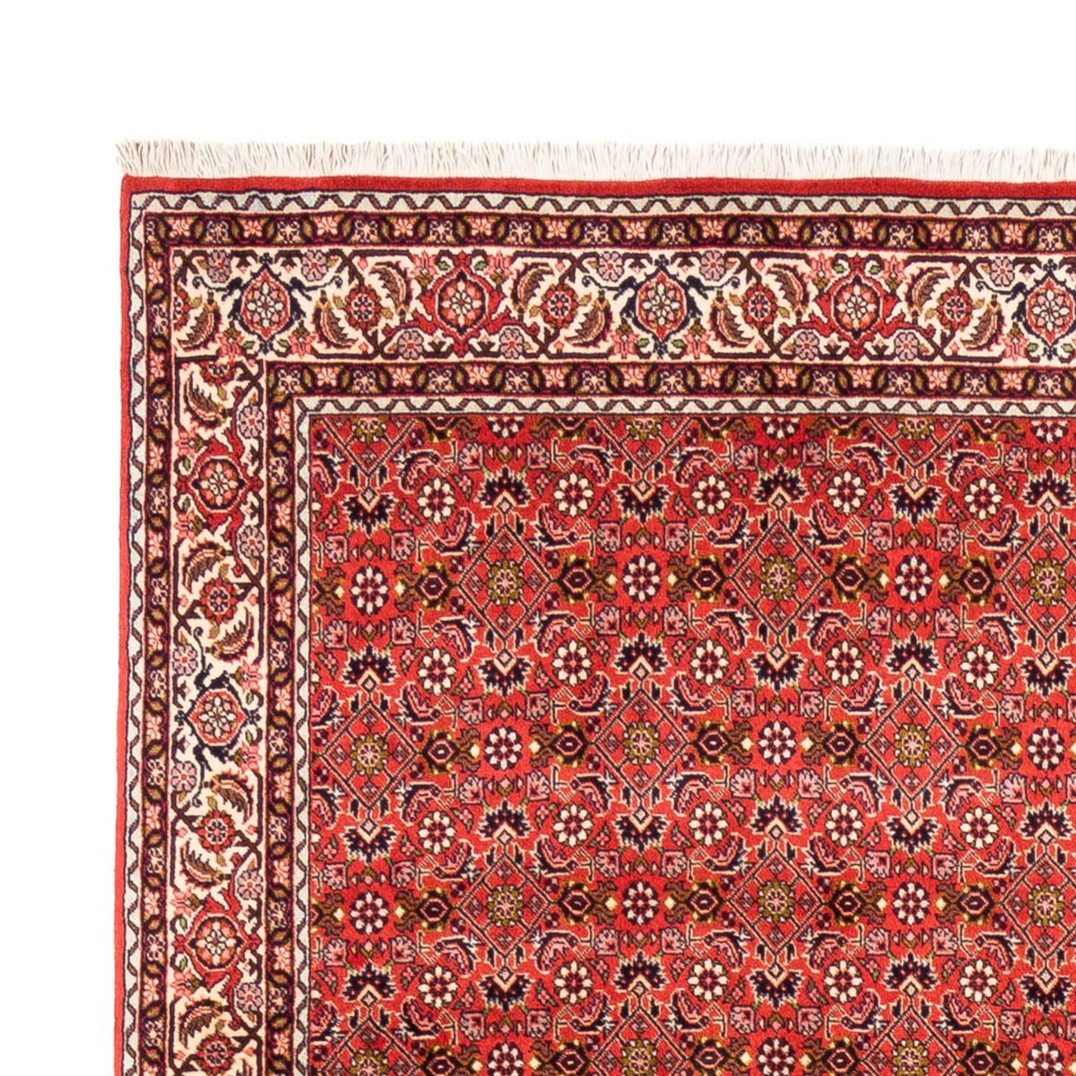 Perserteppich - Bidjar - Royal - 242 x 168 cm - rot
