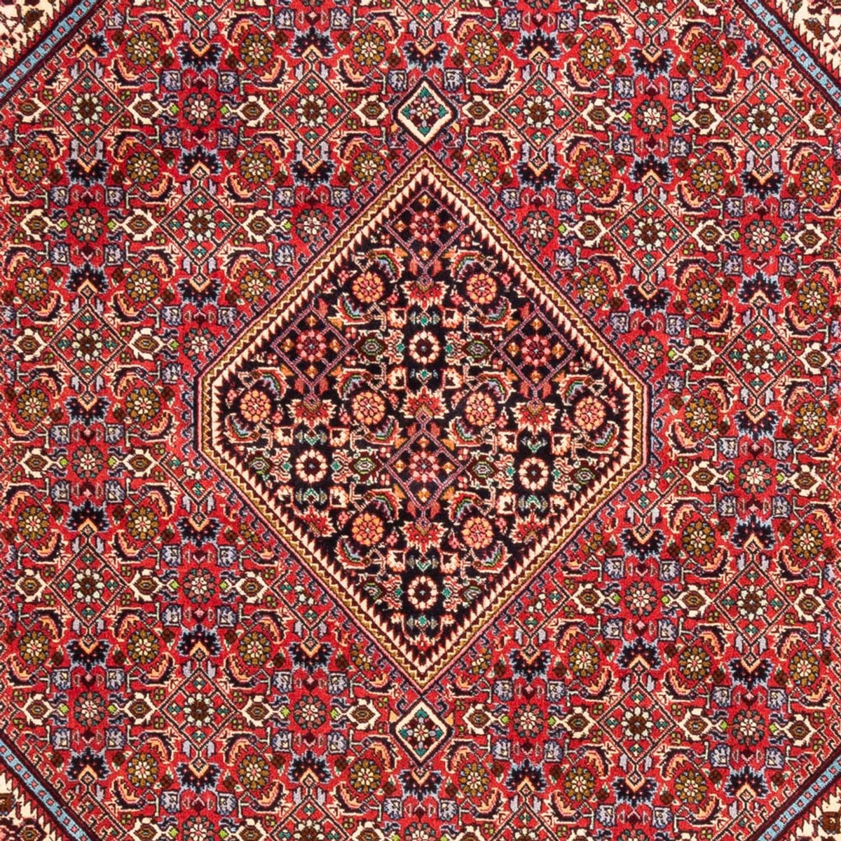Perserteppich - Bidjar - Royal - 247 x 171 cm - rot