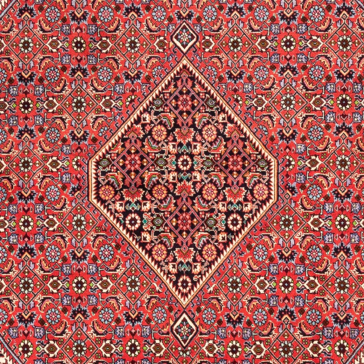 Perserteppich - Bidjar - Royal - 245 x 170 cm - rot