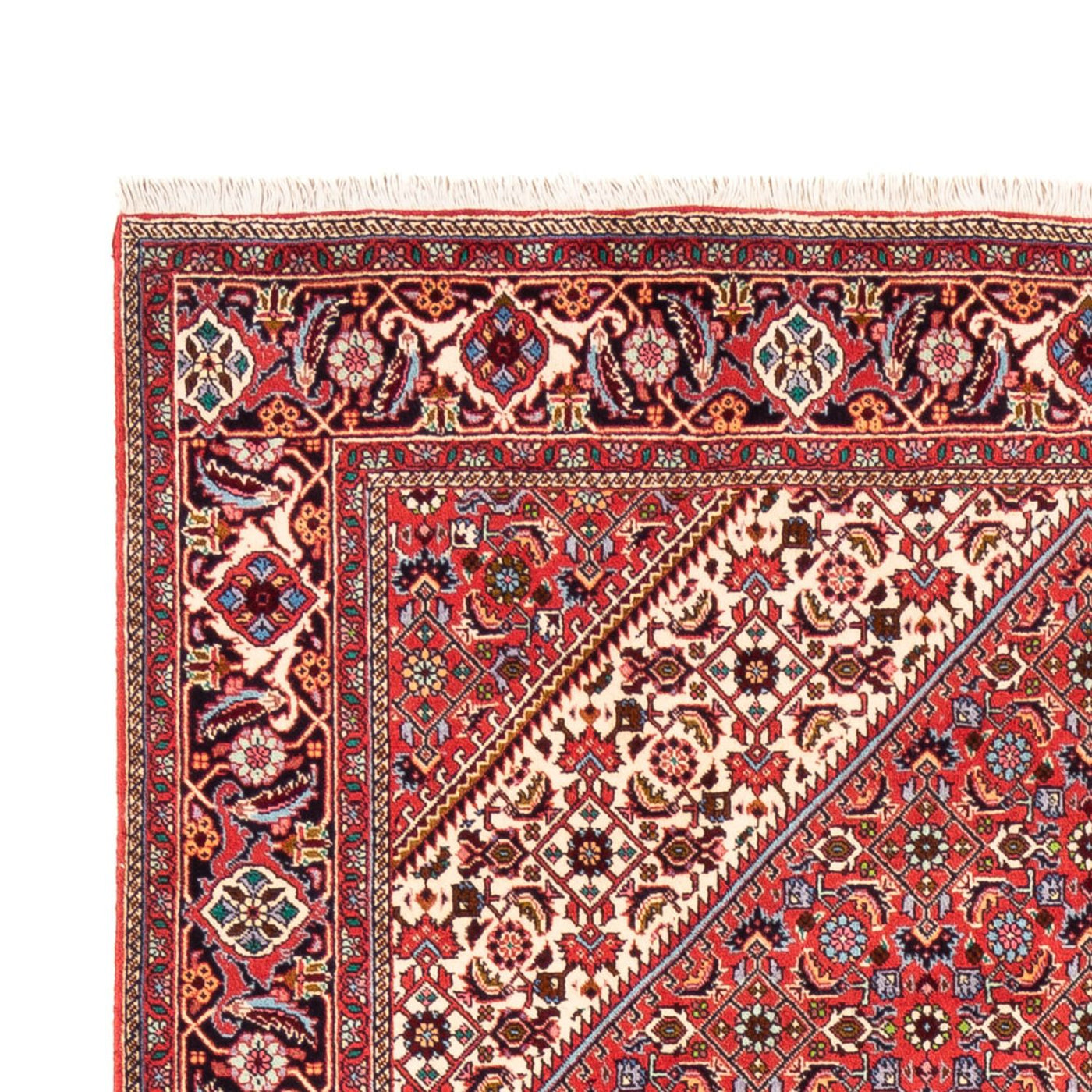 Bidjar - Bukan Dywan 245x170cm - Dywan perski