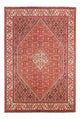 Bidjar - Bukan Dywan 244x168cm - Dywan perski
