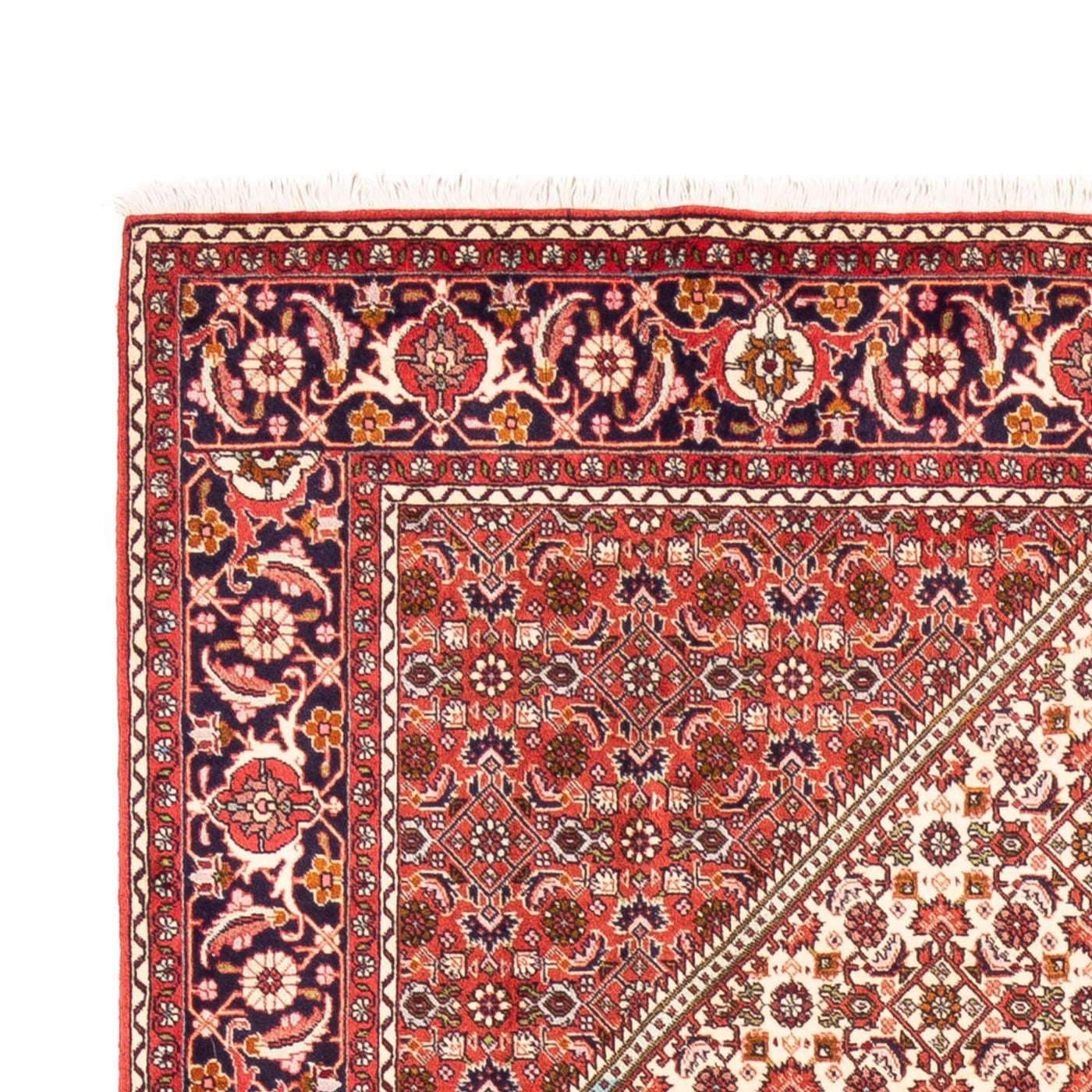 Bidjar - Bukan Dywan 249x170cm - Dywan perski