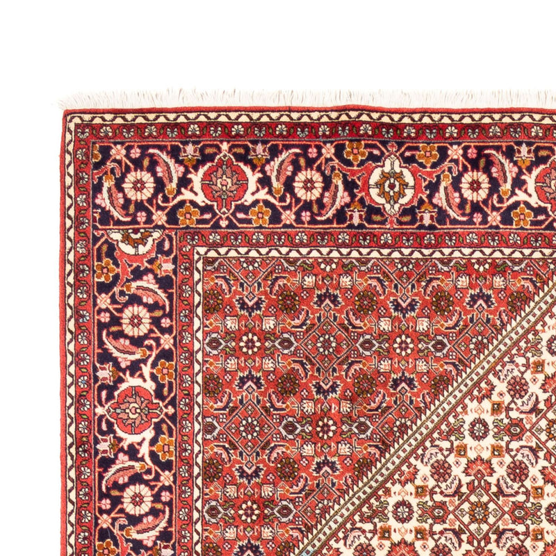 Perserteppich - Bidjar - Royal - 249 x 170 cm - beige
