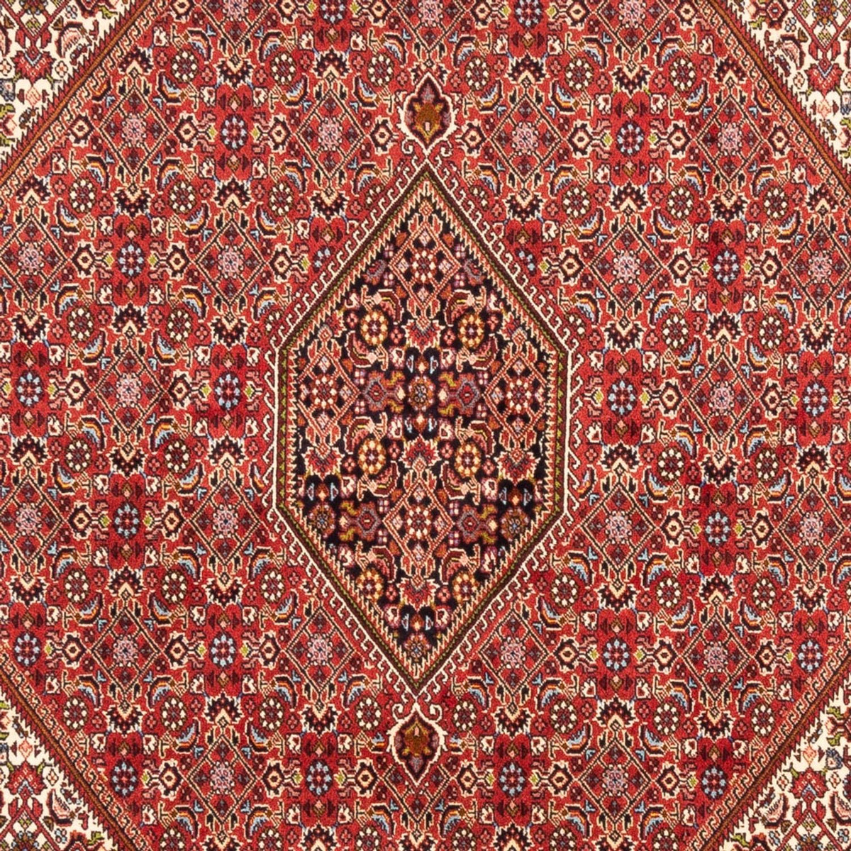 Perski dywan - Bijar - Royal - 247 x 172 cm - czerwony
