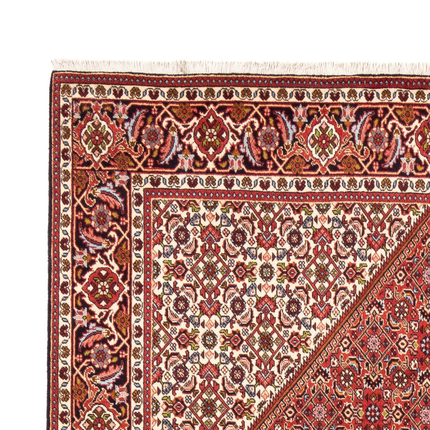 Bidjar - Bukan Dywan 247x172cm - Dywan perski
