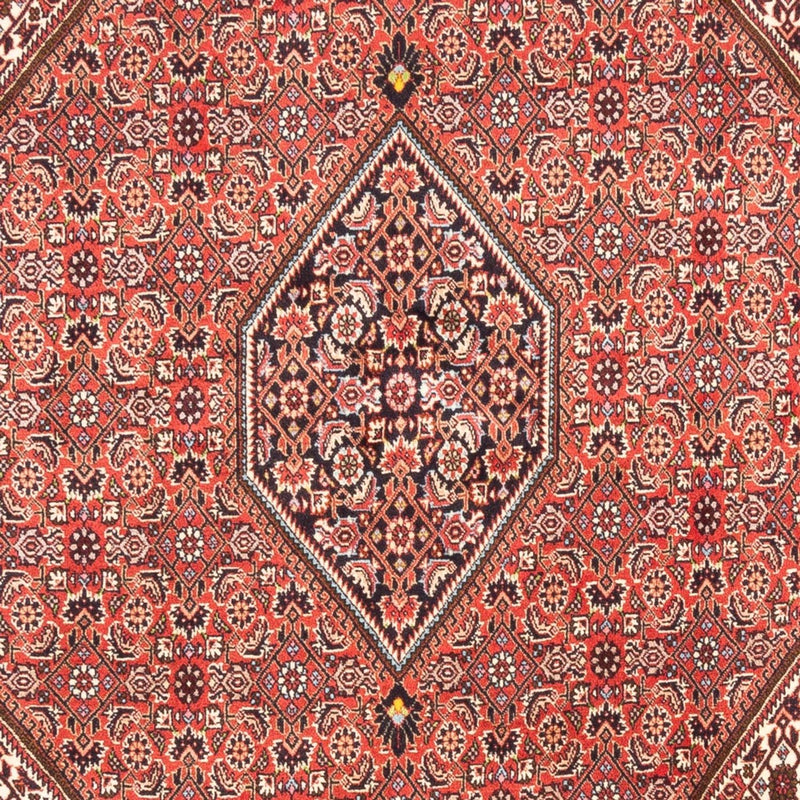 Perserteppich - Bidjar - Royal - 247 x 173 cm - rot