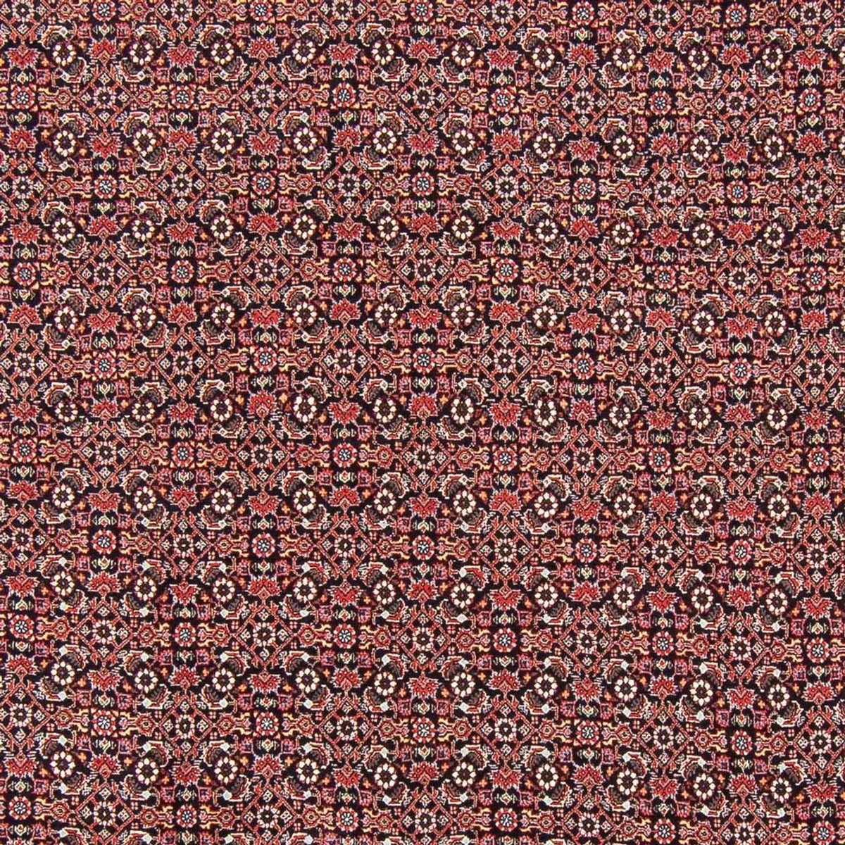 Perserteppich - Bidjar - Royal - 247 x 196 cm - dunkelblau