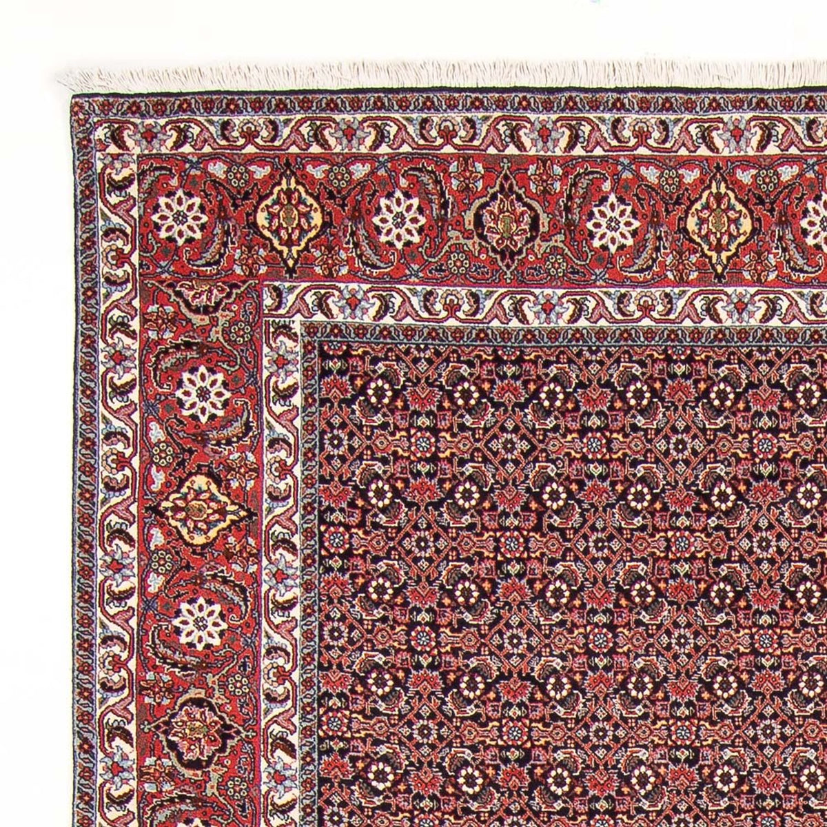 Perserteppich - Bidjar - Royal - 247 x 196 cm - dunkelblau