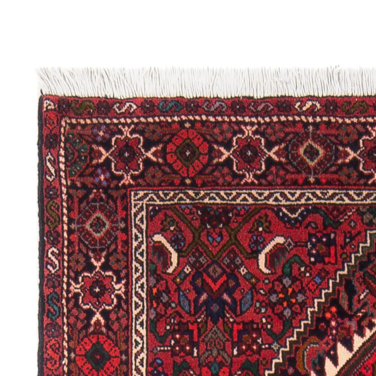 Gholtogh Dywan 78x137cm - Dywan perski